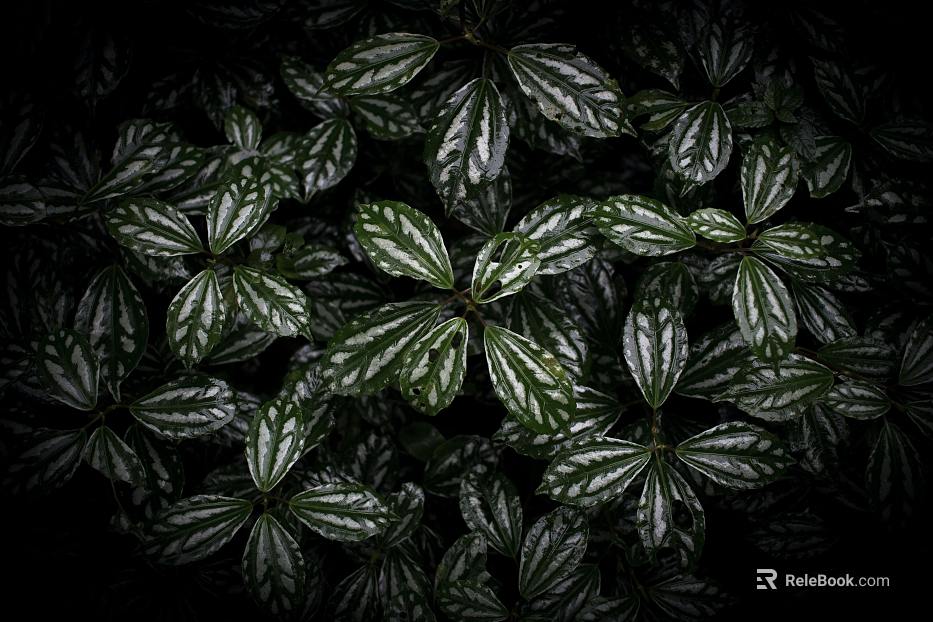 plant pattern texture