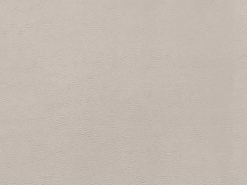 Coarse-grain leather texture (ID:ffacf6509)
