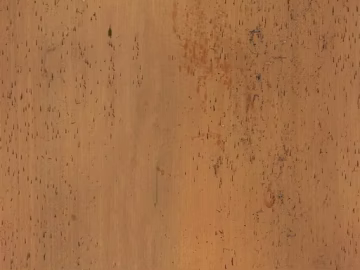 Bamboo 3d model