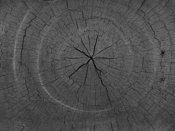 Black and White Bump texture (ID:ffaag82586)