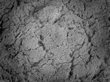 black and white texture (ID:ffacg38413)