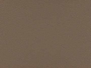 Coarse-grain leather texture (ID:ffagg73899)