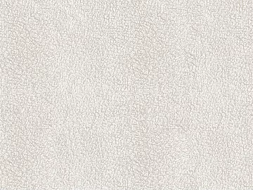 Plain pattern carpet texture (ID:ffagg94009)