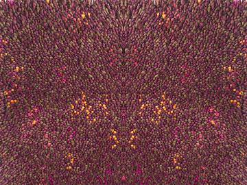 Plain pattern carpet texture (ID:ffach636468)