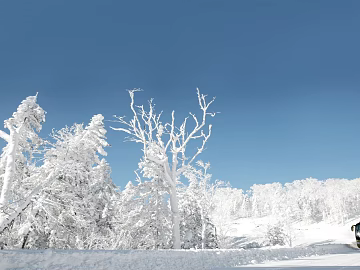 Snow texture (ID:ffaef3270)
