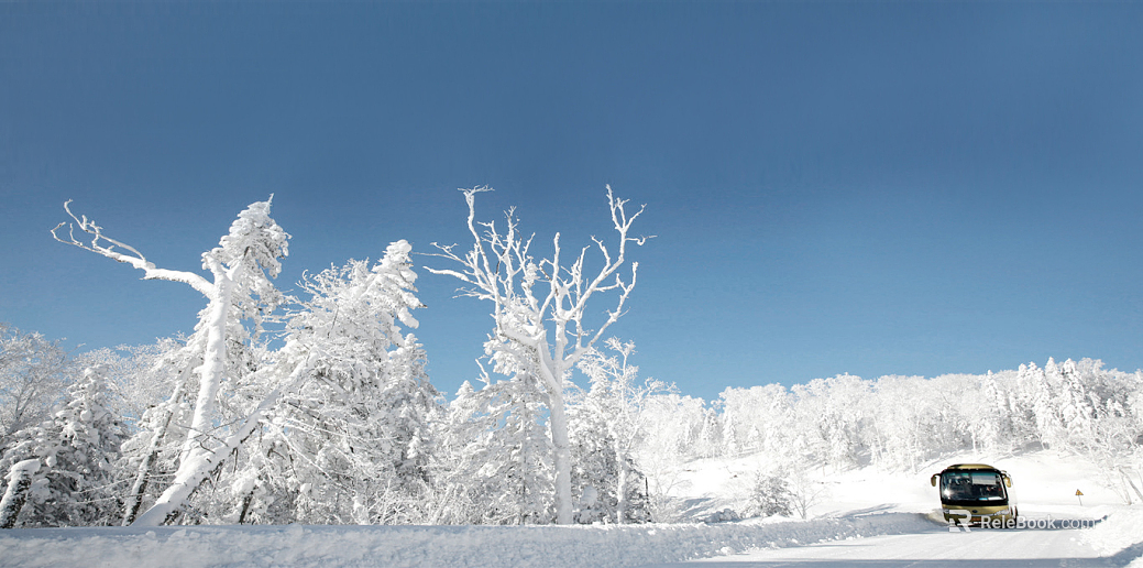 Snow texture
