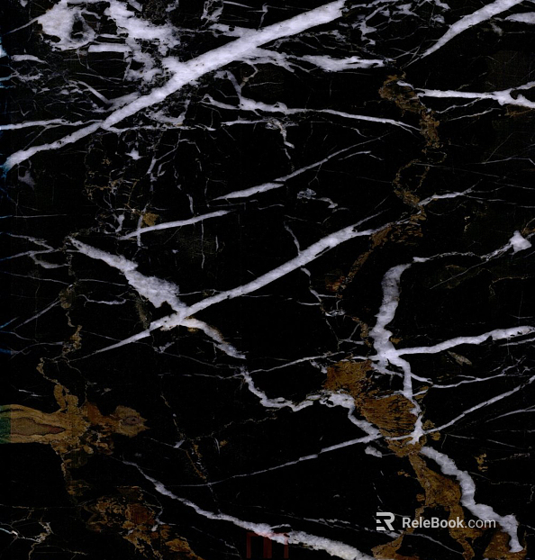 Black Golden Flower Marble texture