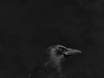 black and white painting texture (ID:ffaag00364)