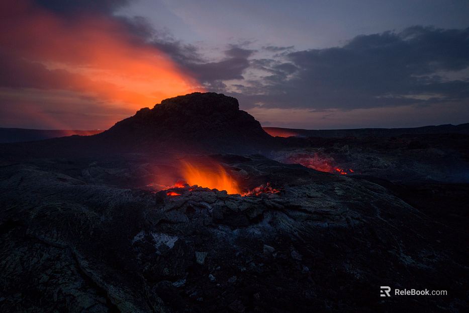 Wild Scenery texture