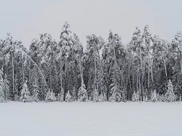 Snow texture (ID:ffaeg78227)