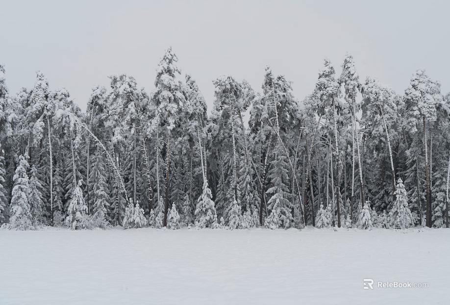 Snow texture
