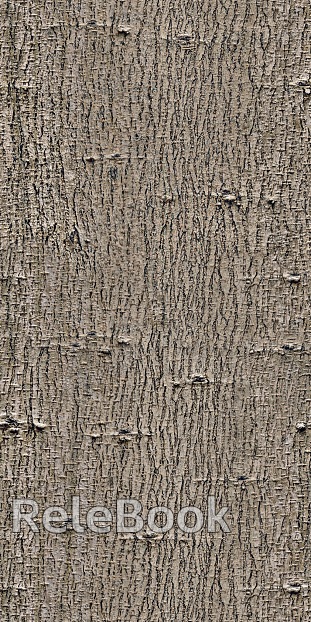 bark texture