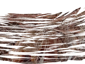 sawdust texture (ID:ffacg49429)