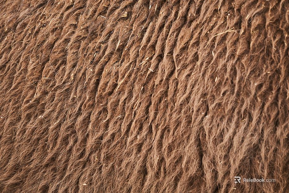 animal hair texture