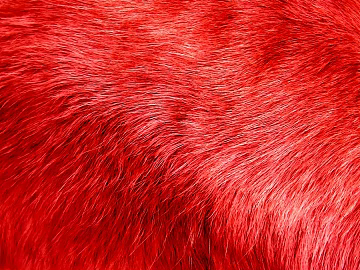 animal fur texture (ID:ffaag81477)
