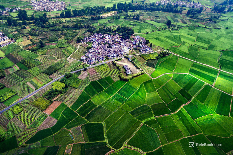 bird's eye view texture