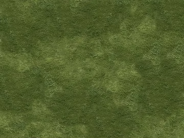 moss texture (ID:ffagf9349)