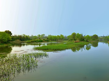 Wild Scenery texture (ID:ffaag68400)