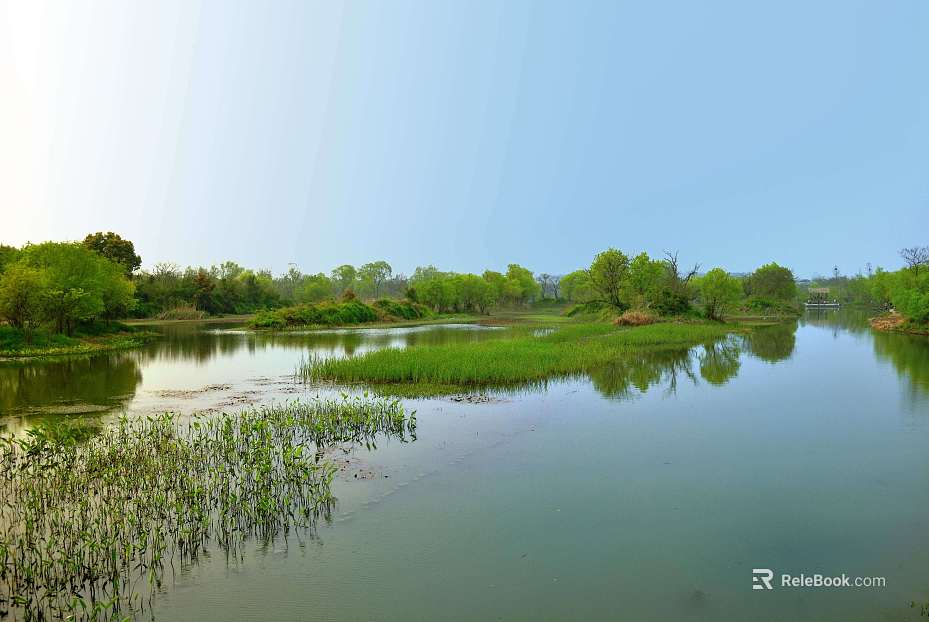 Wild Scenery texture