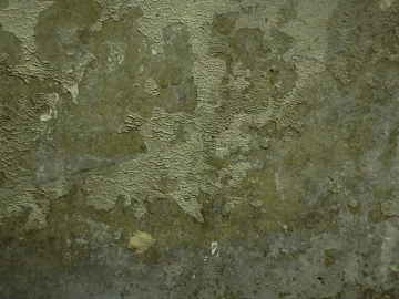 Finish Metallic texture (ID:ffach807783)