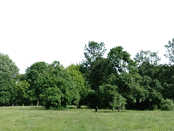 Wild Scenery texture (ID:ffacg50642)
