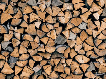 Trunk section texture (ID:ffabg42062)