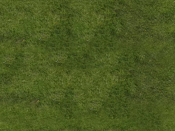 Turf texture (ID:ffaff7853)