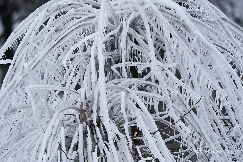 Snow texture