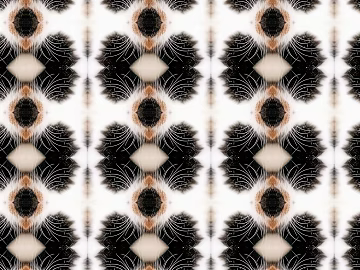 Wallpaper texture (ID:ffabg85865)