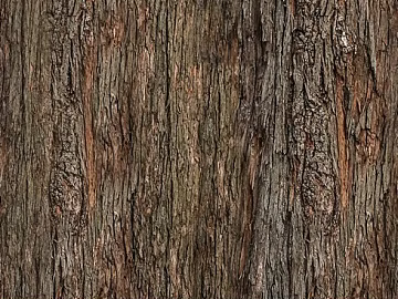 Dark brown gray bark wall decoration 3d model