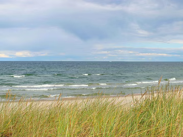 Exterior scenery texture (ID:ffaaf8140)