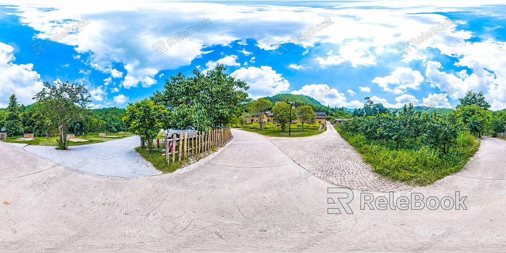 HDR Green Trailway Forest Leisure Riverside texture