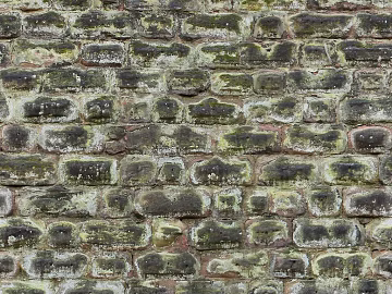 Green Grey Moss Old Brick Wall Exterior Wall texture (ID:ffaeh964096)