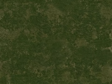 moss texture (ID:ffaag31254)