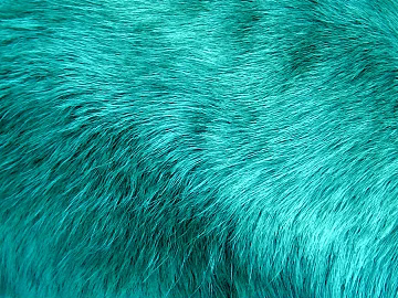animal fur texture (ID:ffaag54292)