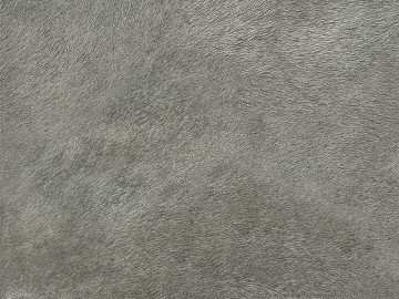 Plain pattern carpet texture (ID:ffaag86056)