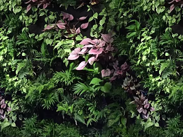 Plants texture (ID:ffaag39041)