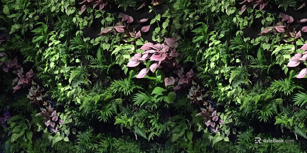 Plants texture