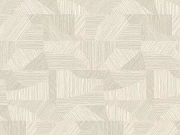 geometric line texture (ID:ffaeh683352)