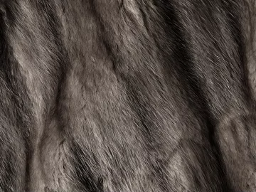Animal Blanket texture (ID:ffaeg75792)