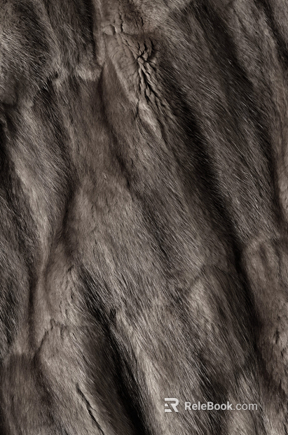 Animal Blanket texture