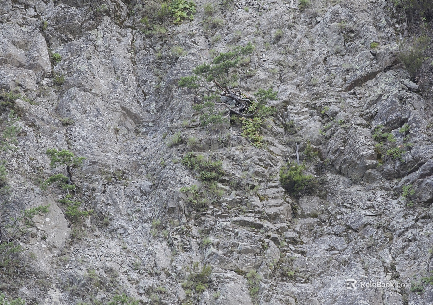 mountain rock wall texture