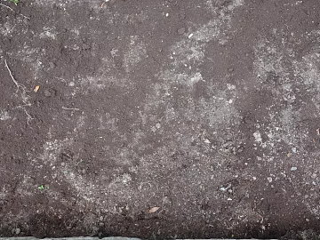 Mud texture (ID:ffaeg63263)