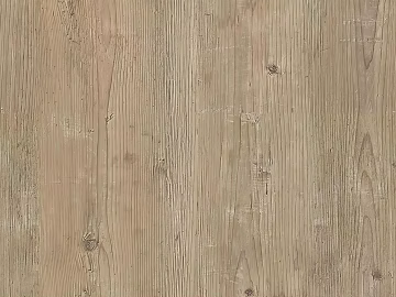 A sense of quiet surprise in light-colored, natural, aged wood grain. 3d model