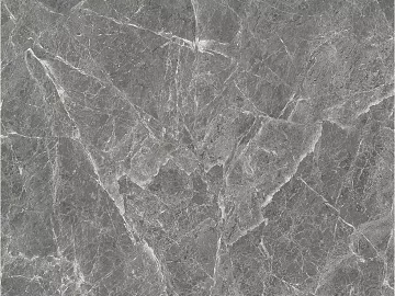 Mesh pattern marble star sea gray stone texture (ID:ffacg77821)