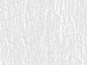 Ground black and white map texture (ID:ffaef1795)