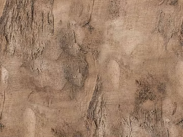 bark texture (ID:ffach113474)
