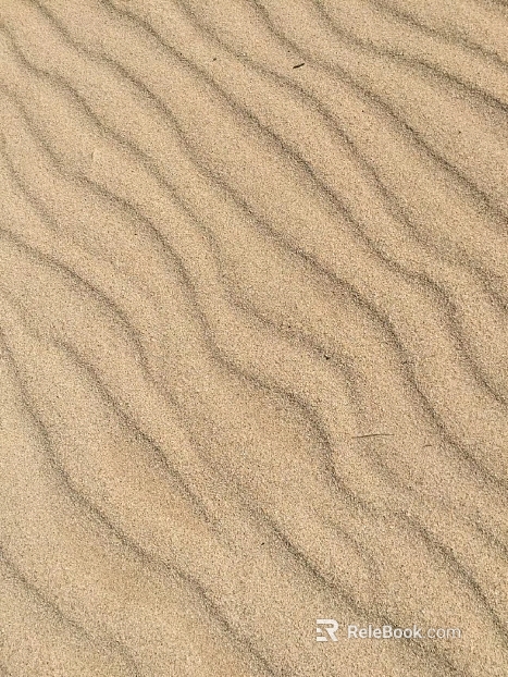 Sand Desert Garden Soil Dry Sand Soil texture
