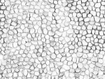 Black and White Bump texture (ID:ffabg17221)