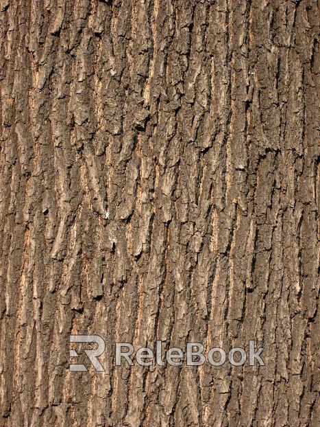 bark texture